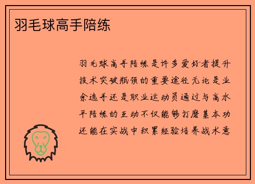 羽毛球高手陪练