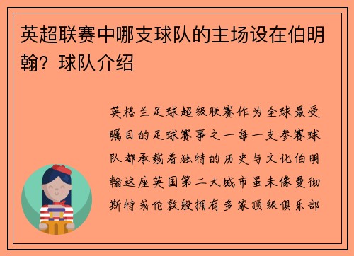 英超联赛中哪支球队的主场设在伯明翰？球队介绍