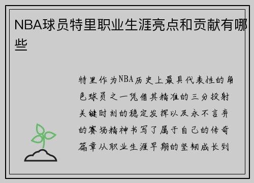 NBA球员特里职业生涯亮点和贡献有哪些